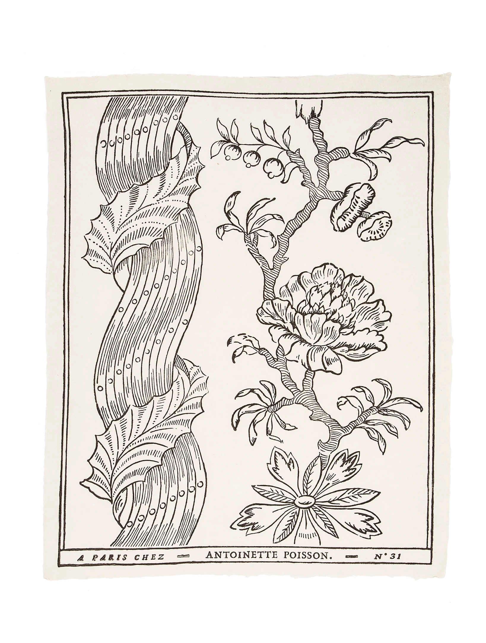 Nouveaux papiers dominotés